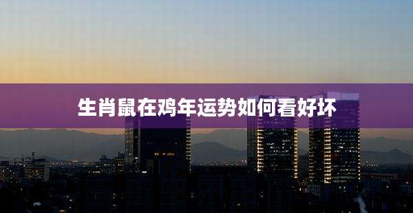 生肖鼠在鸡年运势如何看好坏