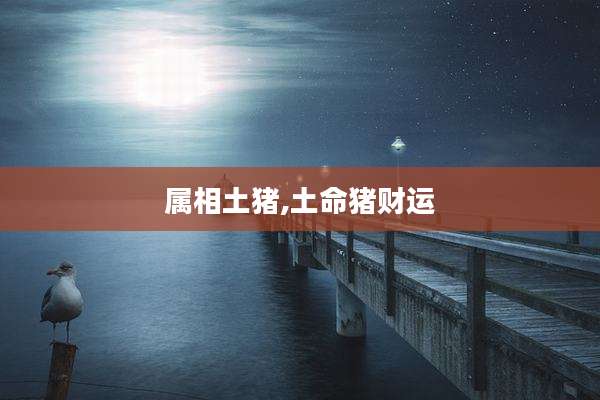 属相土猪,土命猪财运