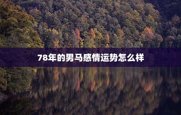 78年的男马感情运势怎么样