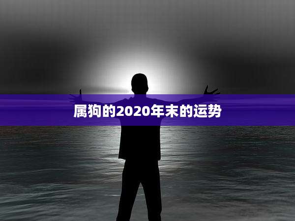 属狗的2020年末的运势