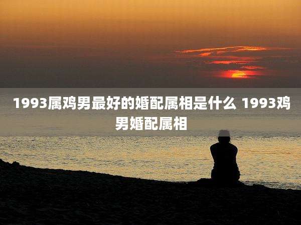 1993属鸡男最好的婚配属相是什么 1993鸡男婚配属相