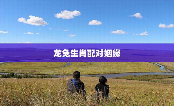龙兔生肖配对姻缘