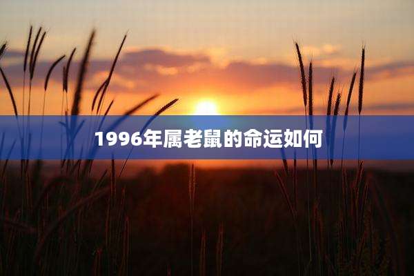 1996年属老鼠的命运如何