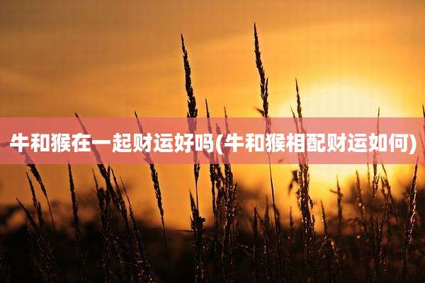 牛和猴在一起财运好吗(牛和猴相配财运如何)