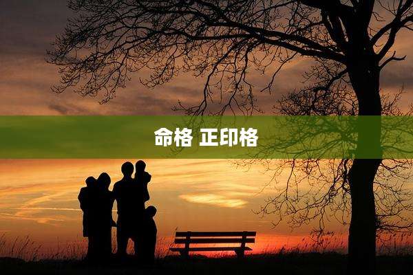 命格 正印格
