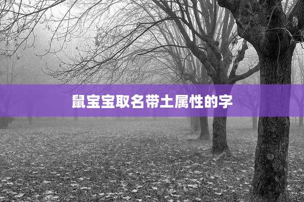 鼠宝宝取名带土属性的字