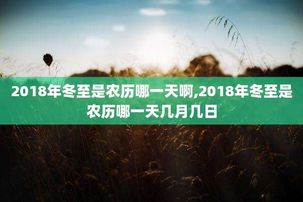 2018年冬至是农历哪一天啊,2018年冬至是农历哪一天几月几日
