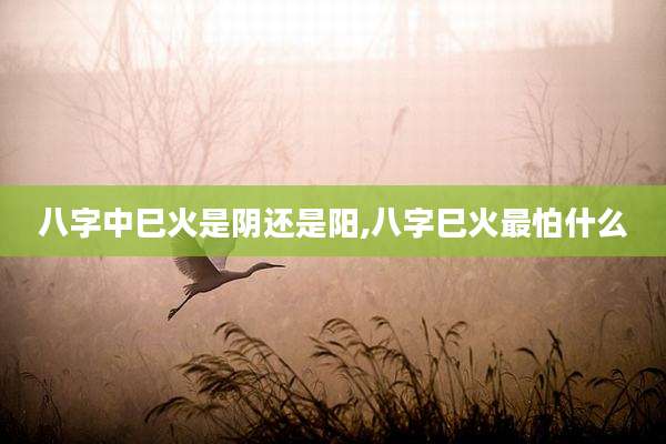 八字中巳火是阴还是阳,八字巳火最怕什么