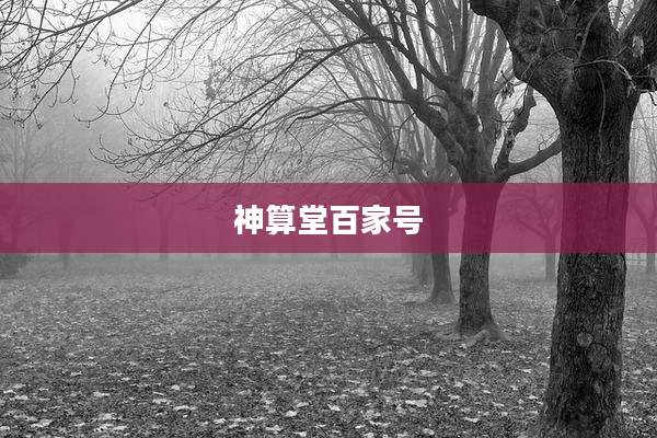 神算堂百家号