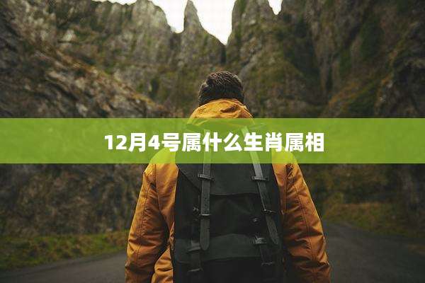 12月4号属什么生肖属相
