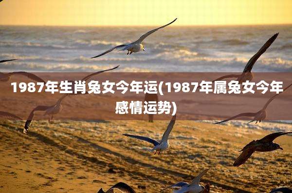 1987年生肖兔女今年运(1987年属兔女今年感情运势)