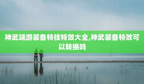 神武端游装备特技特效大全,神武装备特效可以转换吗