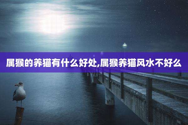 属猴的养猫有什么好处,属猴养猫风水不好么