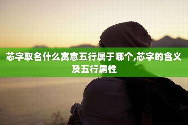 芯字取名什么寓意五行属于哪个,芯字的含义及五行属性