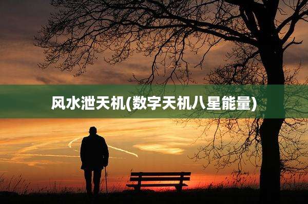 风水泄天机(数字天机八星能量)