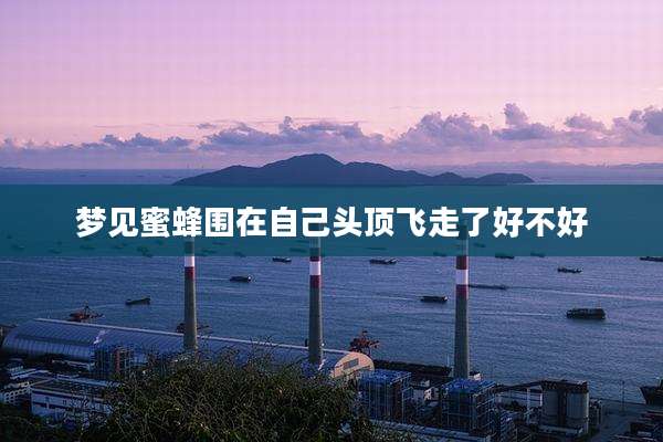 梦见蜜蜂围在自己头顶飞走了好不好