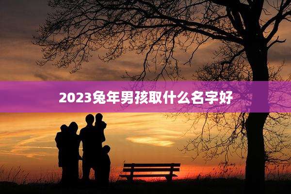 2023兔年男孩取什么名字好