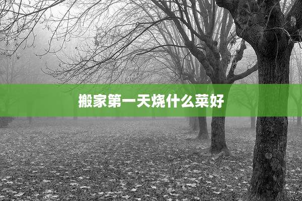 搬家第一天烧什么菜好