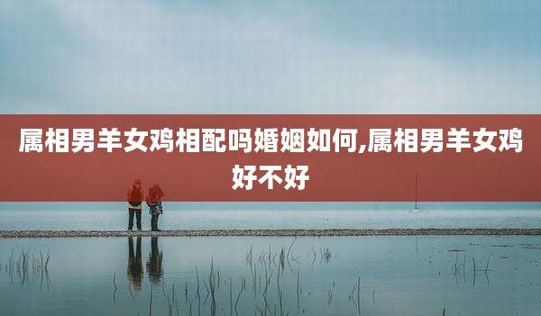 属相男羊女鸡相配吗婚姻如何,属相男羊女鸡好不好