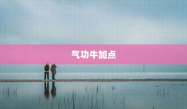 气功牛加点