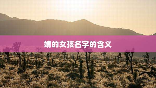 婧的女孩名字的含义