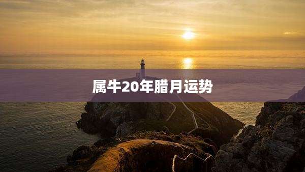 属牛20年腊月运势