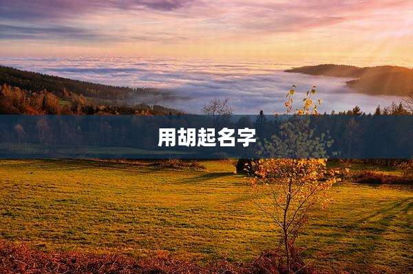 用胡起名字