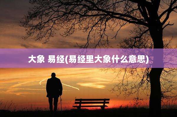 大象 易经(易经里大象什么意思)