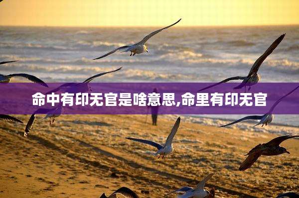 命中有印无官是啥意思,命里有印无官