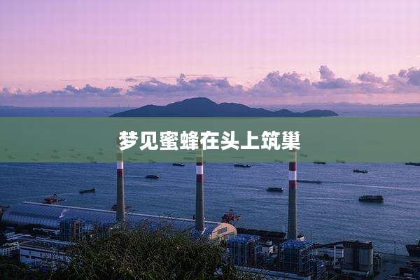 梦见蜜蜂在头上筑巢