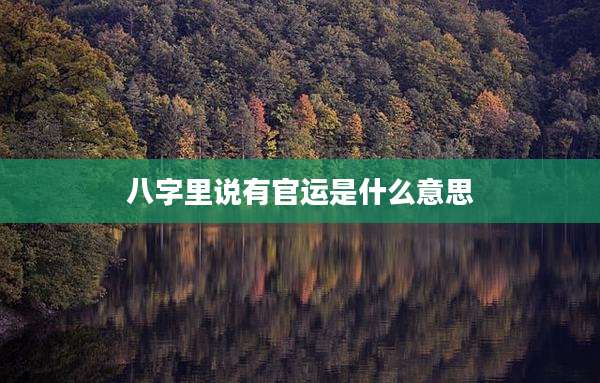 八字里说有官运是什么意思