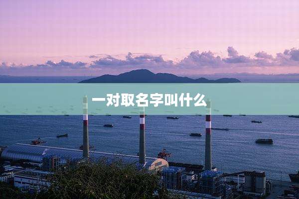 一对取名字叫什么