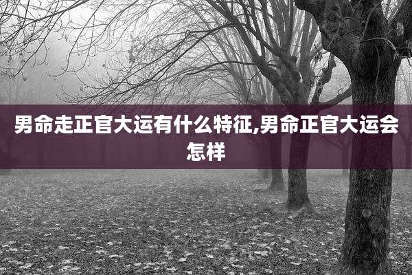 男命走正官大运有什么特征,男命正官大运会怎样