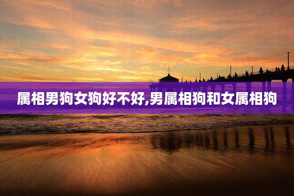 属相男狗女狗好不好,男属相狗和女属相狗