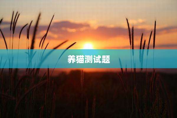 养猫测试题