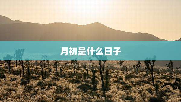 月初是什么日子