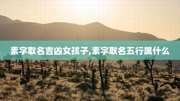 素字取名吉凶女孩子,素字取名五行属什么