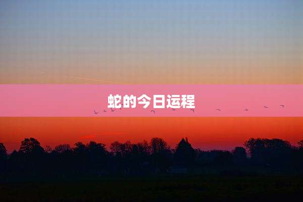 蛇的今日运程