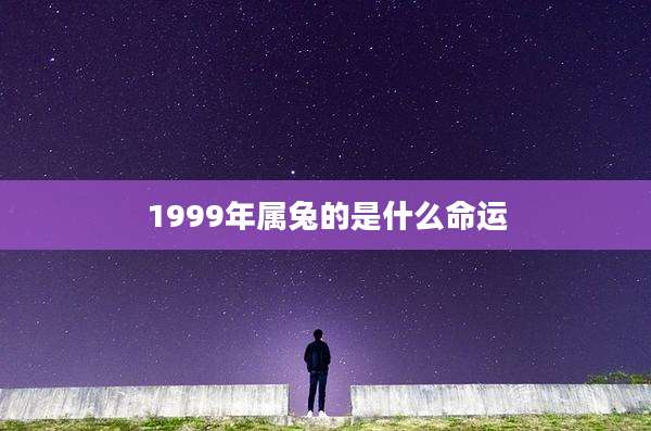 1999年属兔的是什么命运