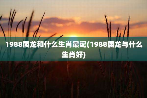 1988属龙和什么生肖最配(1988属龙与什么生肖好)