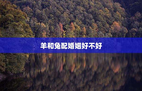 羊和兔配婚姻好不好