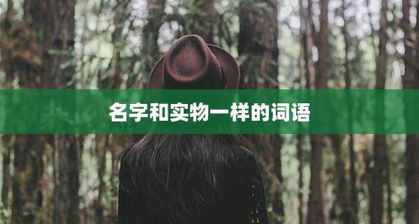 名字和实物一样的词语