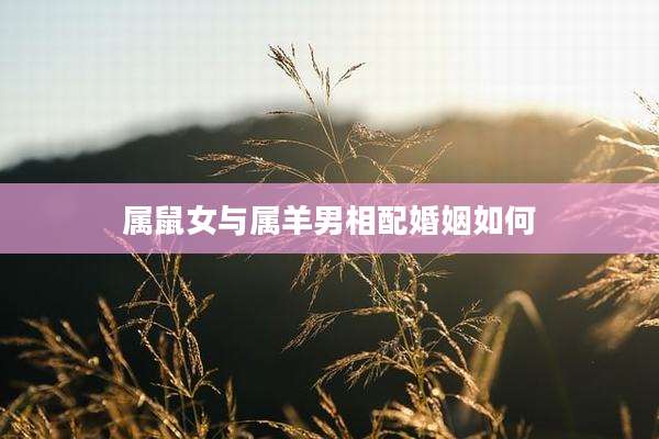 属鼠女与属羊男相配婚姻如何