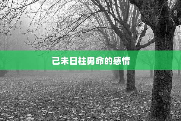 己未日柱男命的感情