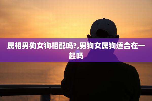 属相男狗女狗相配吗?,男狗女属狗适合在一起吗