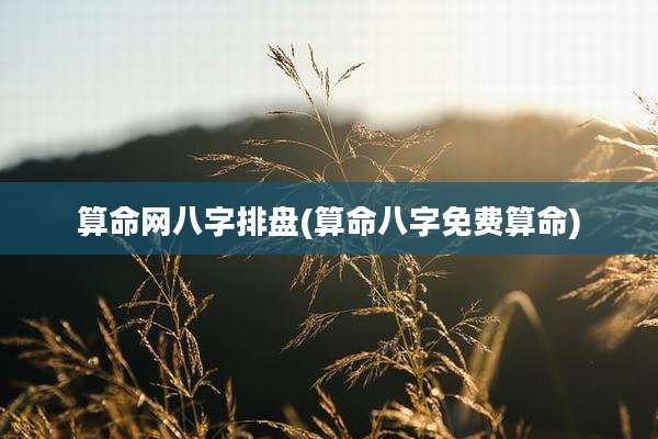 算命网八字排盘(算命八字免费算命)