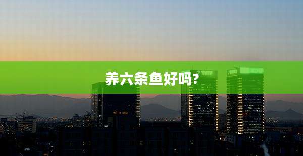 养六条鱼好吗?