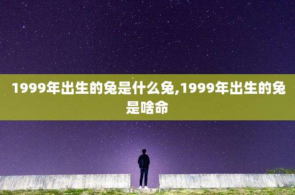 1999年出生的兔是什么兔,1999年出生的兔是啥命