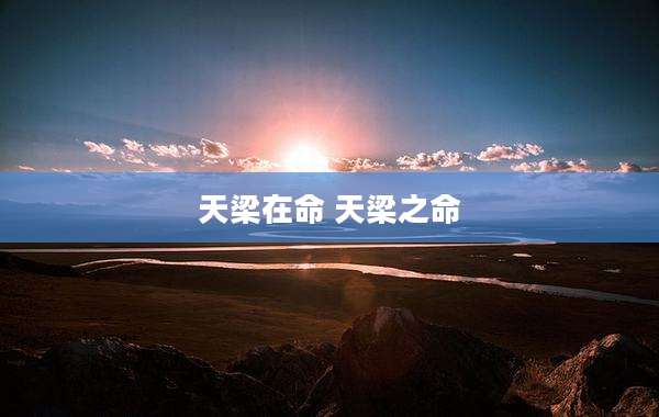 天梁在命 天梁之命