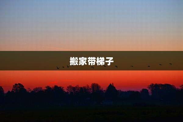 搬家带梯子